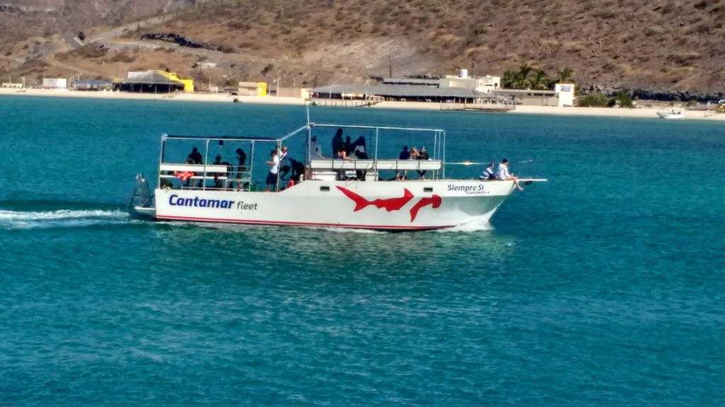 Barco Siempre Sí, Tour Isla Espíritu Santo Club Hotel Cantamar